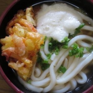 天ぷらうどん